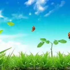 盛夏研训花正开  躬耕教坛共成长 ——泽州县“种子名师”培养第三轮高级研修班第四天培训简报