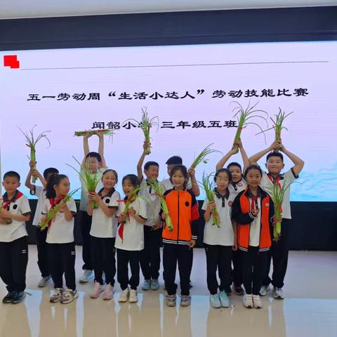 五一劳动周“生活小达人”劳动技能大赛——摘芹莱  ‍闻韶小学三年级五班