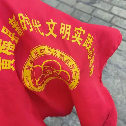 弘扬志愿精神，彰显青年担当