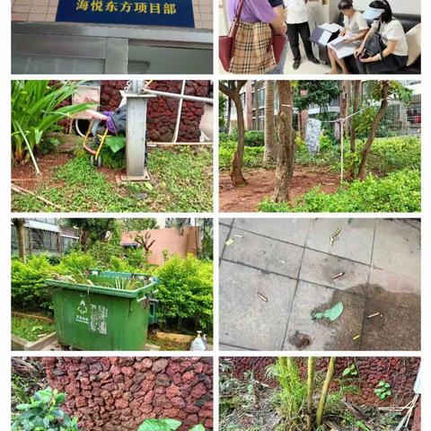 海口市卫健委（爱卫科）开展省、市卫生先进单位复审工作