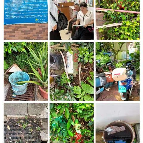 海口市卫健委（爱卫科）开展省、市卫生先进单位复审工作