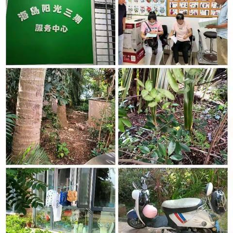海口市卫健委（爱卫科）开展省、市卫生先进单位复审工作