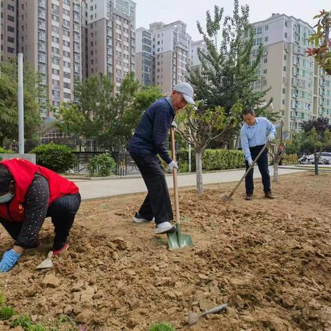 天桥区2处“共建花园”开工建设