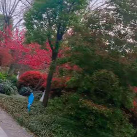 四月春光——五（3）班  吴佳熹