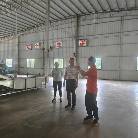 省农业农村厅赴临高县开展农产品加工企业燃气安全和大跨度大空间房屋建筑专项督导检查