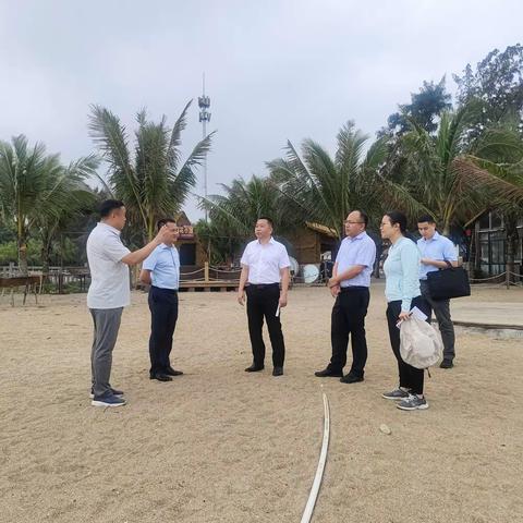 李捷到临城镇、东英镇开展环岛旅游公路和美乡村先期建设点调研活动