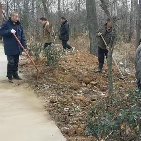 庙子镇：共建美丽乡村 共享美好生活