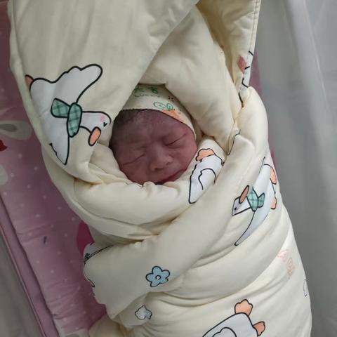 温暖的起点：新生的第一刻