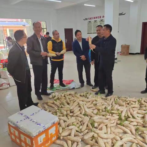 黄聪县长到南开调研本地菜产销情况