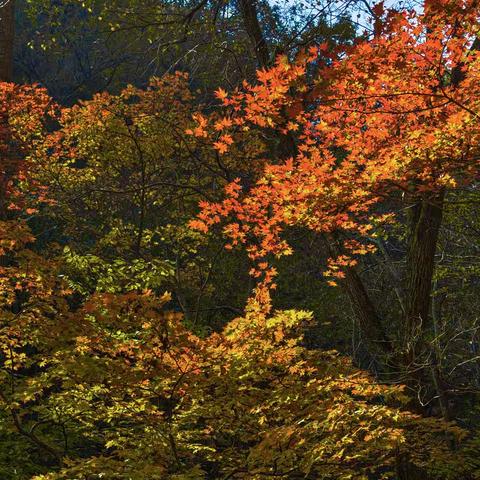 ★旋风★的文章