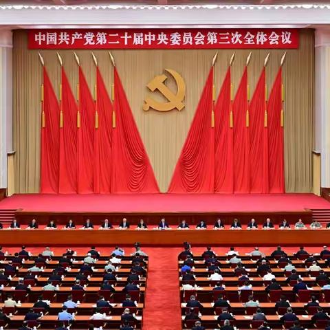 深入学习二十届三中全会决定—— 深化党的建设制度改革