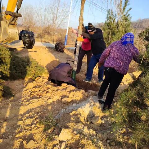 冬日添新绿，义务植树共建美丽家园