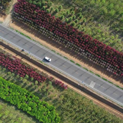 开展路域环境综合治理 持续提升道路通行环境