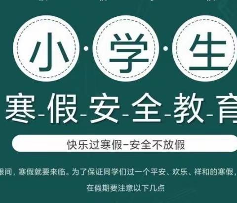 2024年罗家小学寒假安全教育
