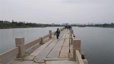 “晋江经验”---“猫冬”三年，阳康后迎来春天！（五）