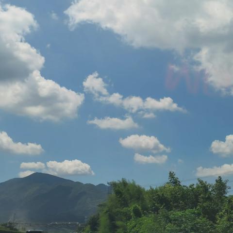 快乐暑期 扬帆起航