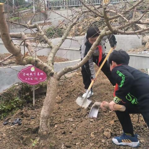 “手植绿意、爱满心田”——东温泉学校植树节活动