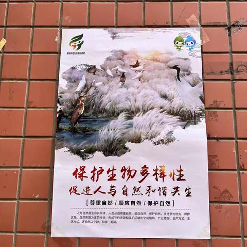 【义洲街道浦西社区】开展主题为“建设人与自然和谐共生的现代化”环保宣传活动