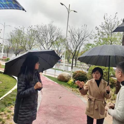 城管局现场督导推进重点项目 周边绿化环境提升工作