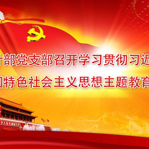 审计部党支部召开“学习贯彻习近平新时代中国特色社会主义思想主题教育”启动大会