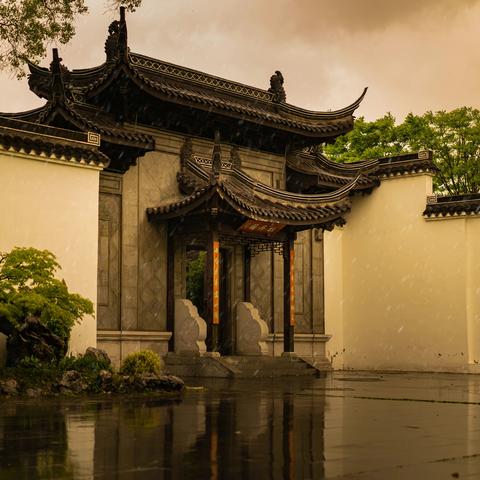 雨中游览常州新龙生态林核心区牡丹园