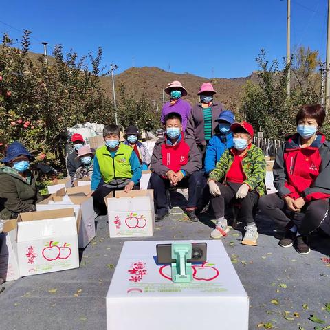 家乡特产 - 红富士苹果