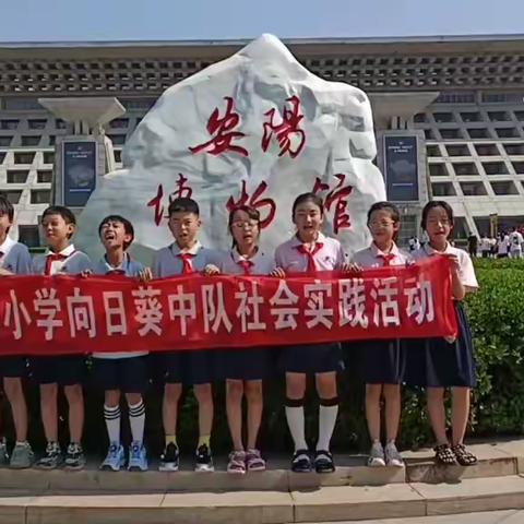 安阳博物馆之旅：探寻历史的足迹🌻翰林小学4（9）班第三小队暑期实践活动