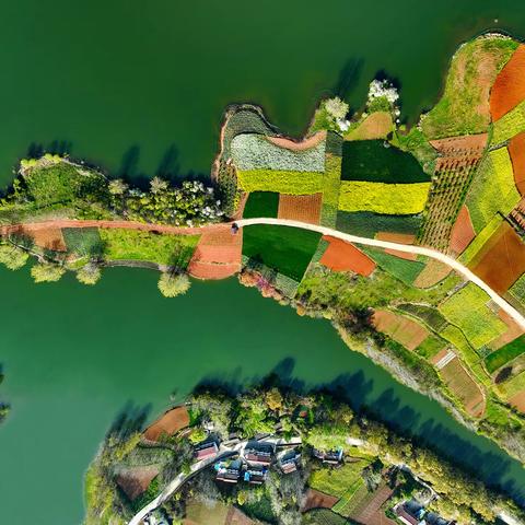 中国摄影网宝鸡俱乐部 2025年3月月评优秀作品展示