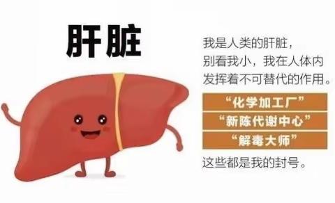 肝硬化的健康教育