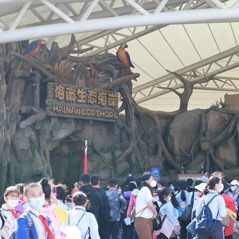 三亚市第十小学 “感悟生命，沉浸海洋”研学活动美篇