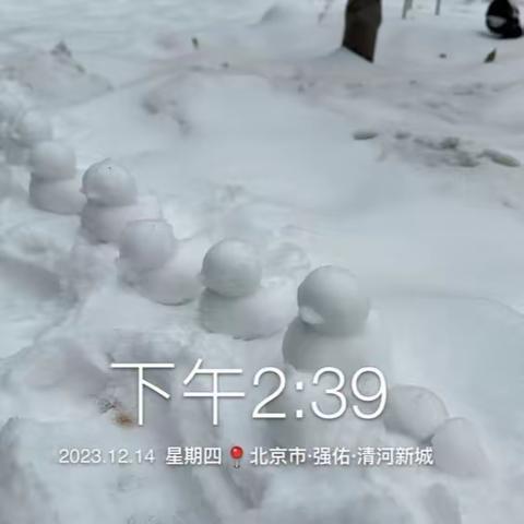 “冬雪如约至 清雪暖人心”——强佑物业二部开展清雪行动