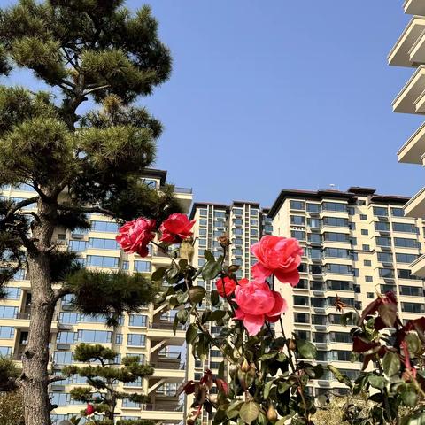 佳烨物业11月份工作简报