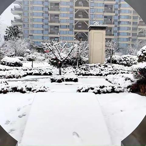 佳烨物业1月份工作简报