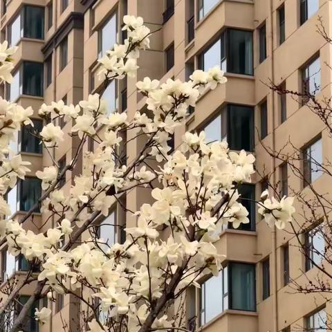 佳烨物业3月份工作简报