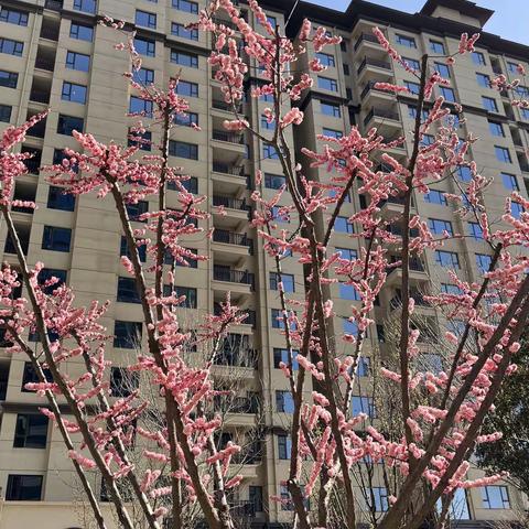 佳烨物业4月份工作简报