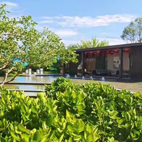 佳烨物业7月份工作简报