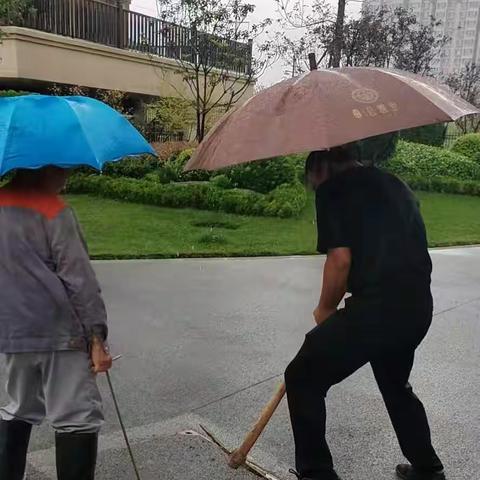 佳烨物业9月份工作简报