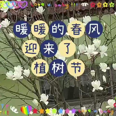 植树节