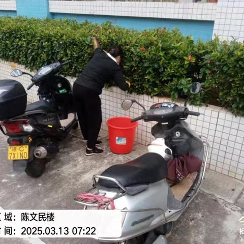 清理花圃垃圾工作