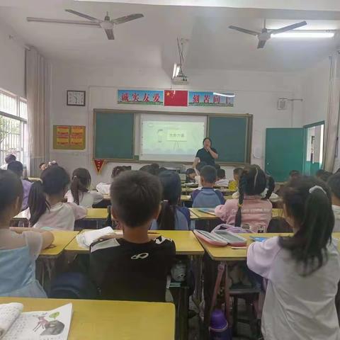 “阳光心态，健康同行”生命教育主题班会——鹅湖镇中心小学心理健康周活动四