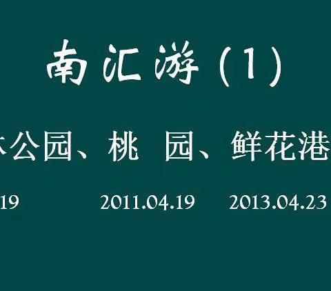 南汇游 (1)~滨海森林公园 桃园 鲜花港 滴水湖