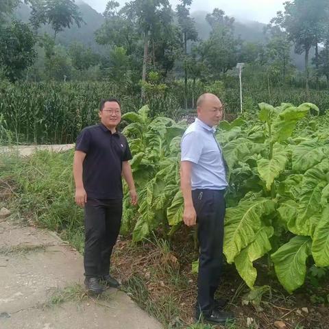 铁厂镇一周工作动态（8.7-8.11）