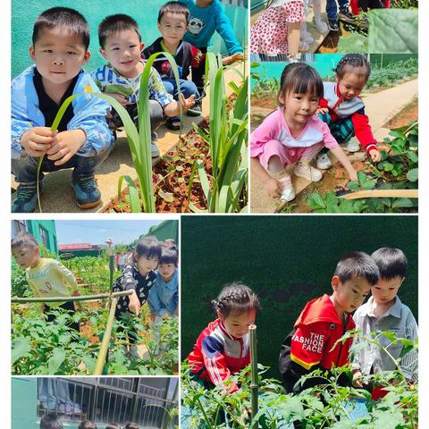 你好呀！夏天！------------下埠镇中心幼儿园中二班