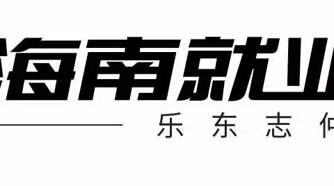 乐东志仲就业驿站在保脱村开展务工招聘及就业指导活动