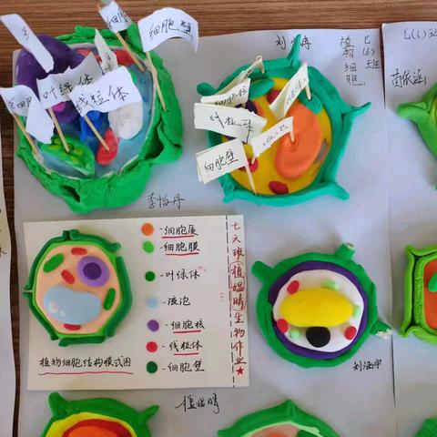 常规检查落实处,规范管理促成长——西邵乡初级中学教学常规管理