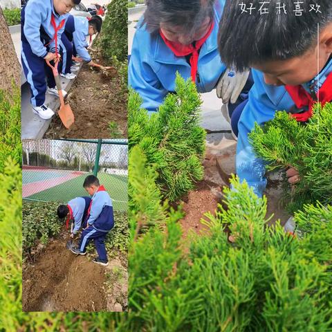 【和合四十·全环境立德树人】﻿播种绿色，分类同行