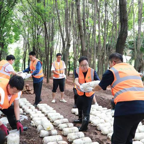 云南交投生态环境工程有限公司林下经济菌菇培养项目实操活动