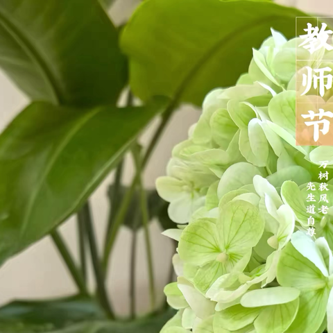 弘扬教育家精神  做新时代的好老师 ——芜师附幼南瑞金坤园幼儿园庆祝第 40个教师节活动