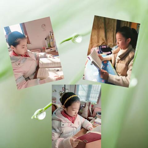 2023年寒假线上阅读会⛵扬帆中队