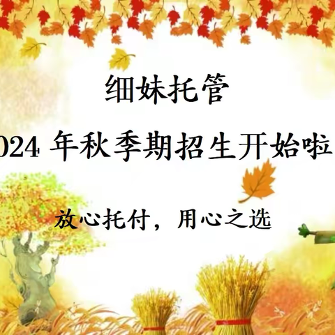 细妹托管2024年秋季期招生开始啦！